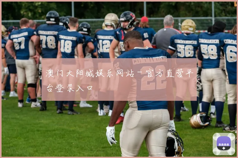 澳门大阳城娱乐网站 - 官方直营平台登录入口
